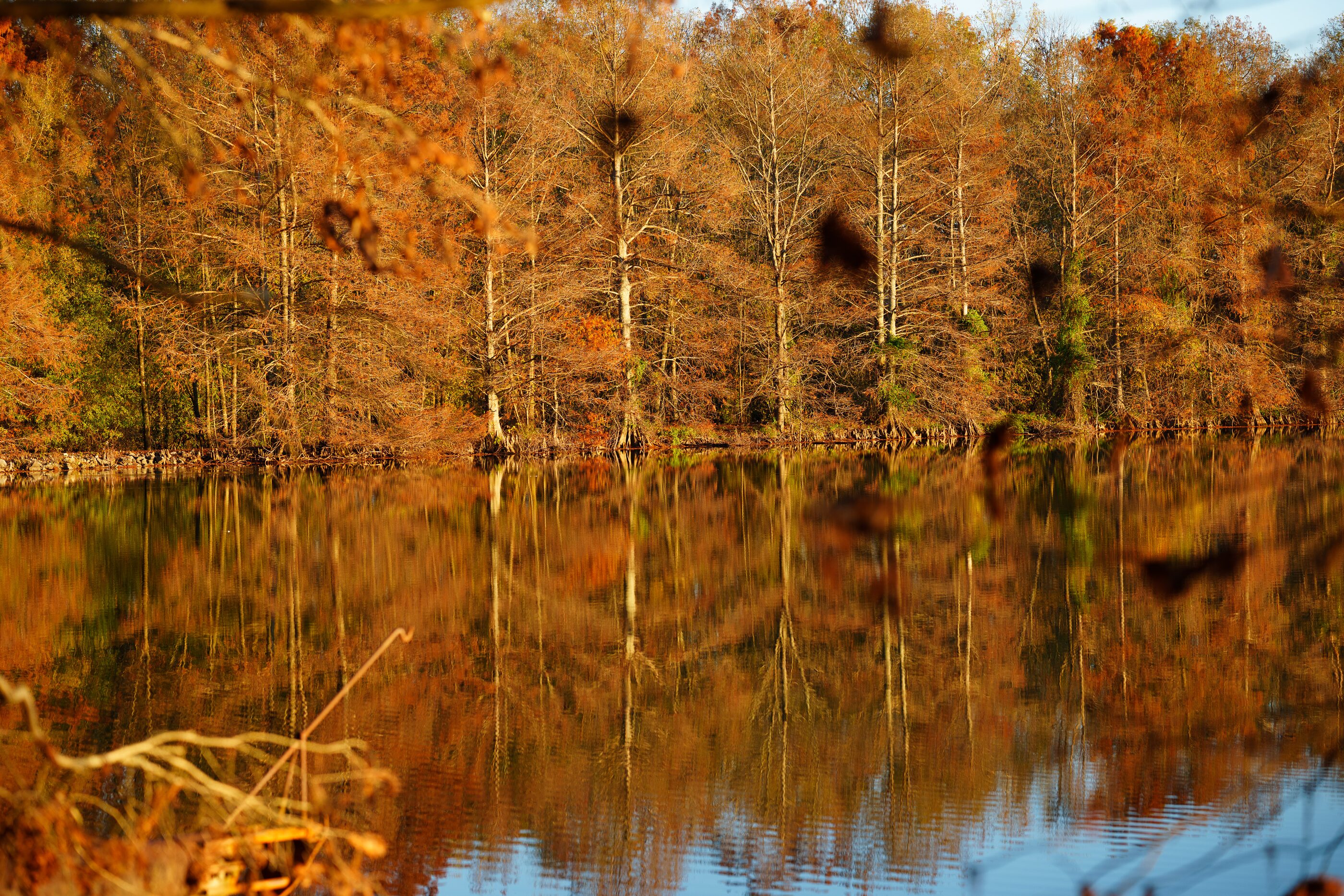 Brilliant autumn foliage reflected across a still lake